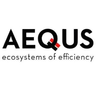Aequs Limited IPO Logo