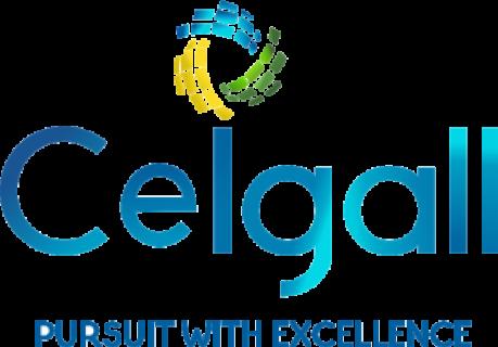 Ceigall India IPO Logo
