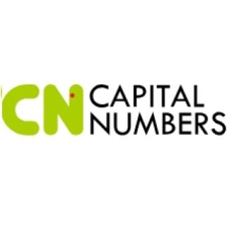 CapitalNumbers Infotech IPO Logo