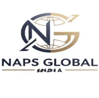 NAPS Global India IPO Logo