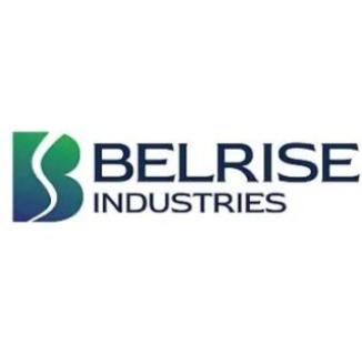 Belrise Industries IPO Logo