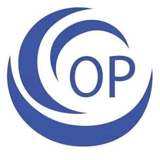 Oval Projects Engineering IPO Logo