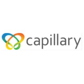 Capillary Technologies IPO Logo